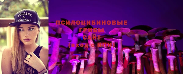 мдпв Пересвет