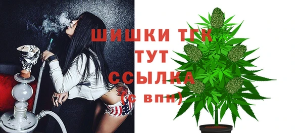 соль ск Переславль-Залесский