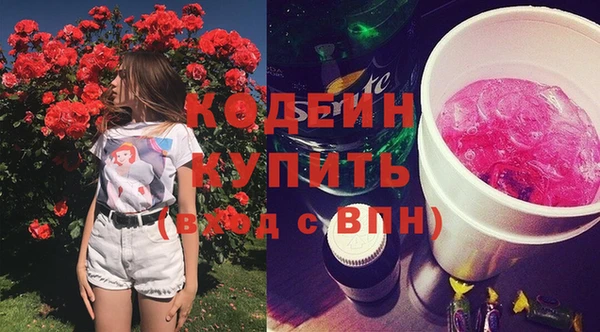 мдпв Пересвет