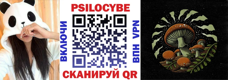 где купить наркоту  Прохладный  Галлюциногенные грибы Cubensis 
