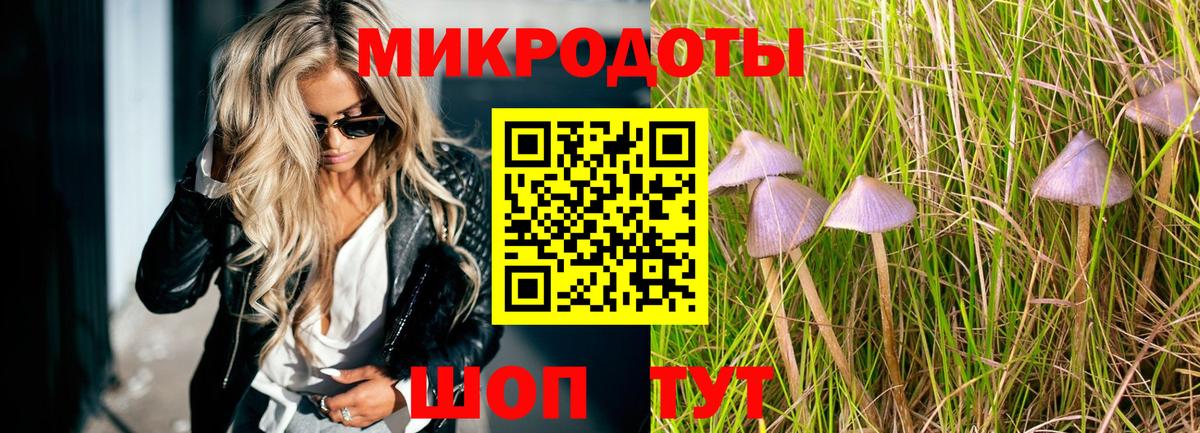 Галлюциногенные грибы MAGIC MUSHROOMS  Вход с VPN  купить наркотики цена  Прохладный 