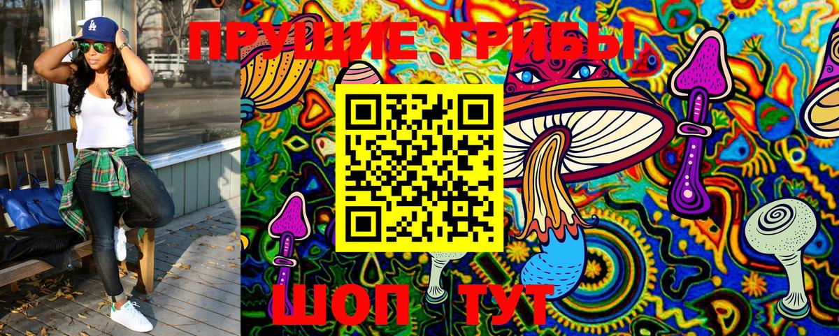 Псилоцибиновые грибы Magic Shrooms Прохладный