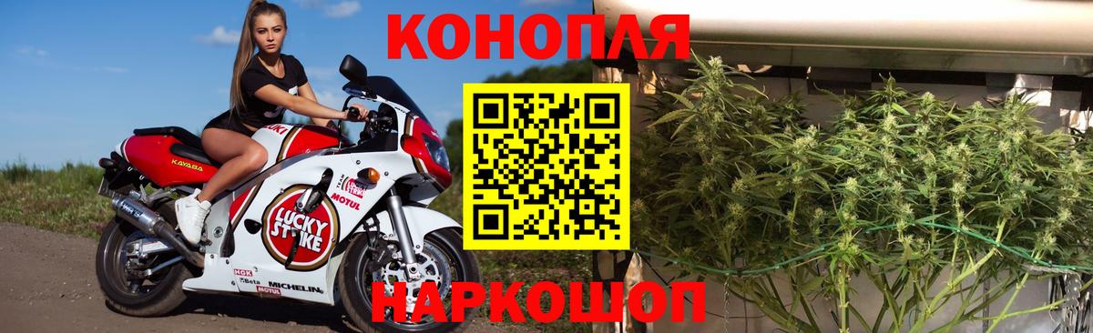 Бошки Шишки SATIVA & INDICA Прохладный